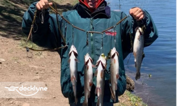 Luna Lake Tackle And Boat Rentals boat rental operation on  Alpine, AZ 1